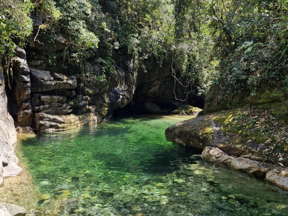 4691abd9 268e 43e5 859d f8d0dc3207bf